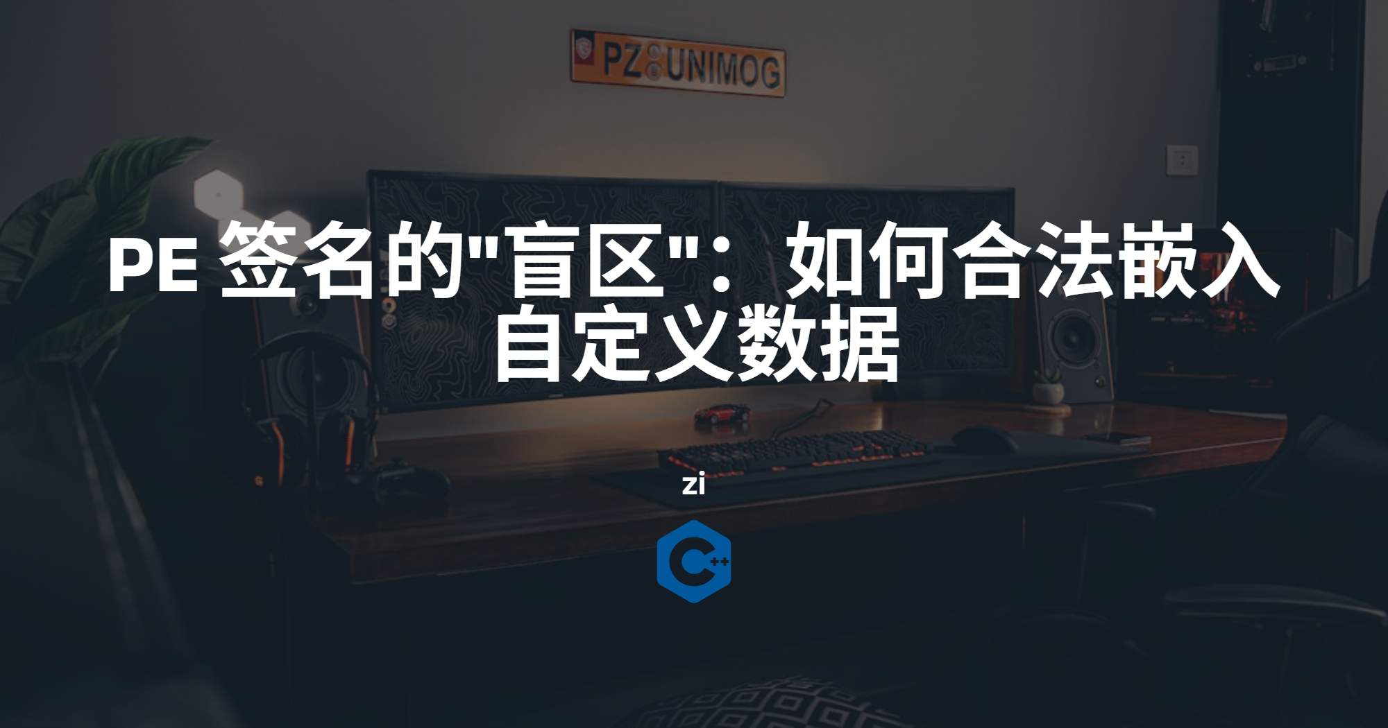 Featured image of post PE 签名的"盲区"：如何合法嵌入自定义数据